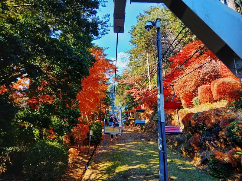Mt. Takao Full-Day Tour with Tattoo-Friendly Hot Spring - Jordan’s role can make the day easier