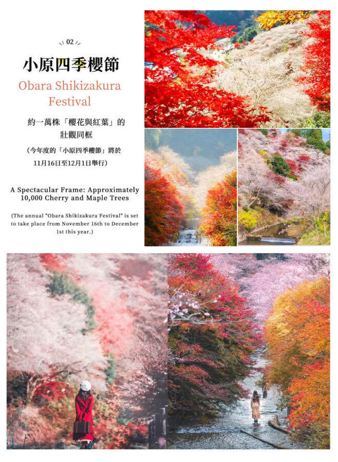 Must-See Autumn Foliage Spots in Nagoya, Japan | Kokeizan Eiho-ji Temple: 700-Year-Old Ginkgo Trees & the Unique Spectacle of Obara Cherry Blossoms and Maple Leaves Together & Korankei Valley Autumn Leaves One-Day Tour - Eiho-ji: an old ginkgo and a quieter start