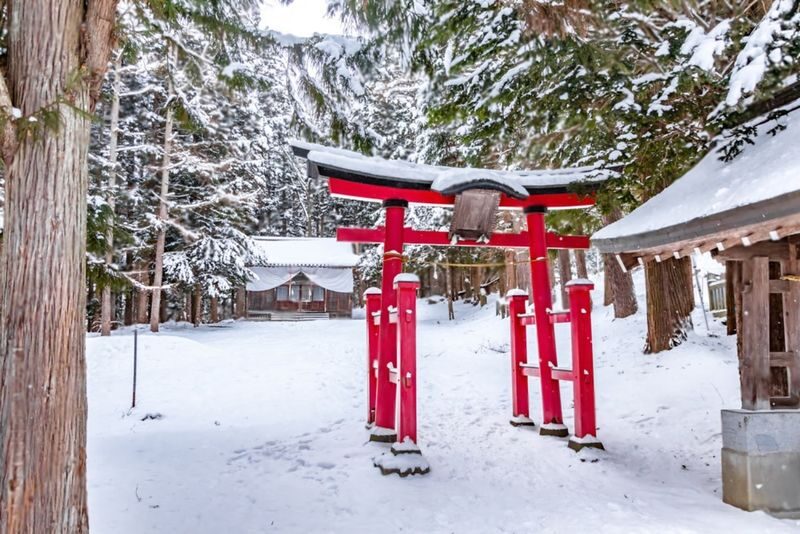 Nagano Jigokudani Monkey Park & Zenkoji Temple Full-Day Private Tour - At Jigokudani, expect a walk as well as a wildlife stop