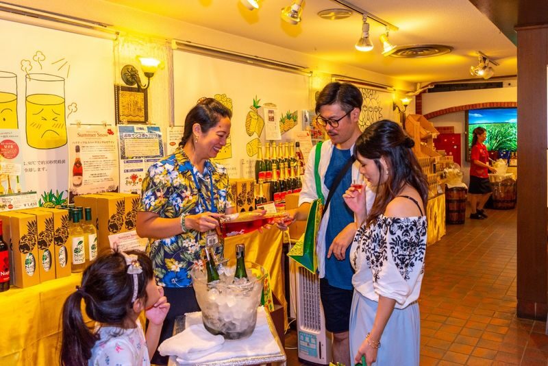 Nago Pineapple Park Ticket in Okinawa - See how Okinawa grows pineapples