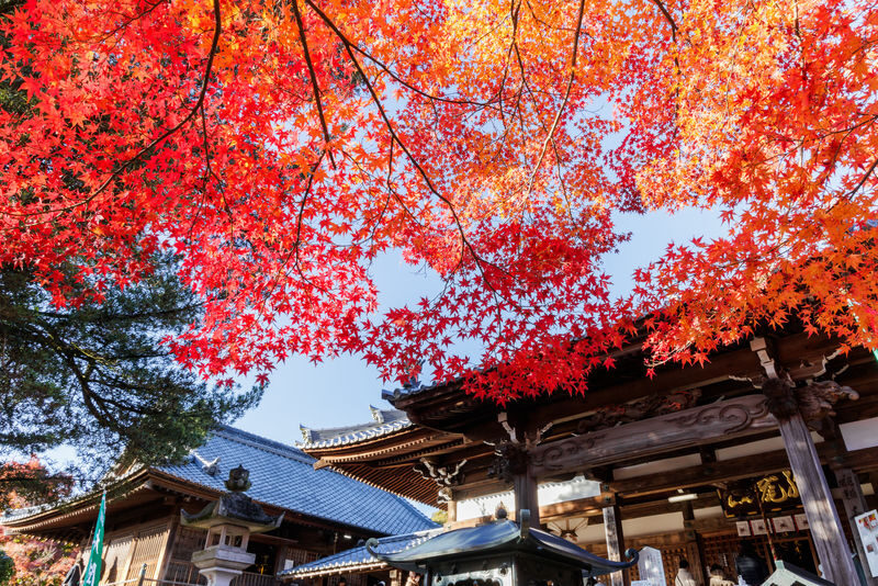 Nagoya Inuyama Castle, Magome-juku Full-Day Tour with Ena Gorge - Inuyama Castle: original wood, steep stairs and river views