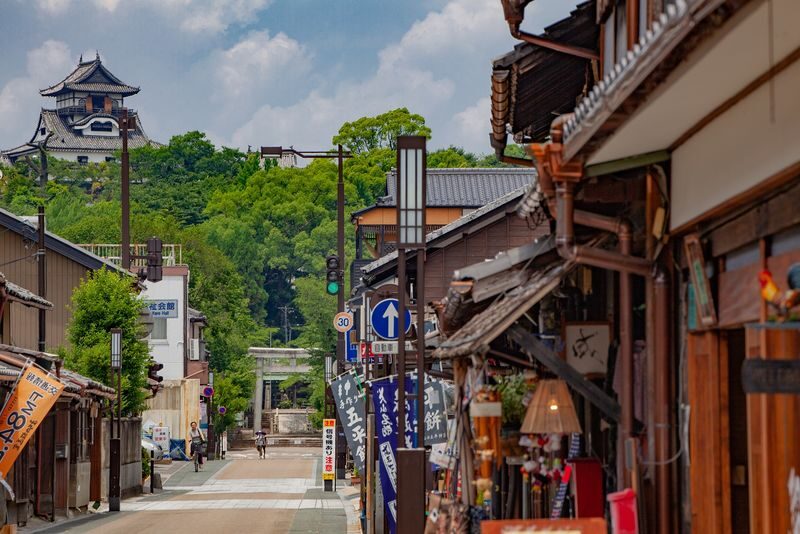Nagoya Seki, Mino & Inuyama Full-Day Private Tour - Mino brings old streets and washi paper into the day