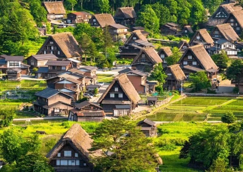 Nagoya Shirakawa-go & Hida Takayama One-Day Tour - Takayama’s old streets and lunch break