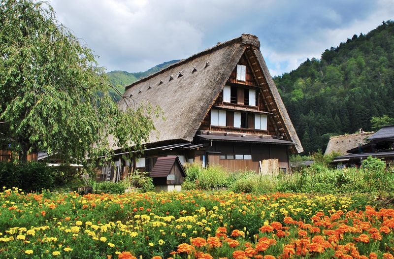Nagoya to Shirakawa-go & Hida-Takayama Day Tour (including Hida beef meal) - Shirakawa-go and its steep-roofed houses