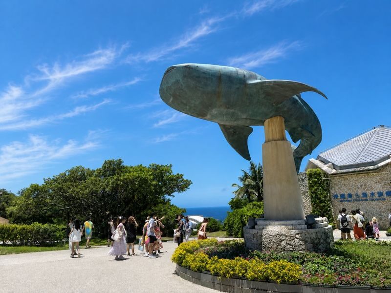 Naha Okinawa Churaumi Aquarium & AEON Mall Rycom Full-Day Tour - What the aquarium stop offers