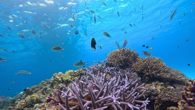Naha Tokashiki Island Beach One-Day Experience - A full day, from Naha ferry to island shuttle