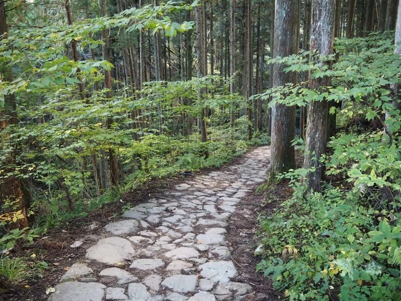 Nakasendo Trail One Day Walking Tour from Matsumoto - Tsumago: a post town with its details intact