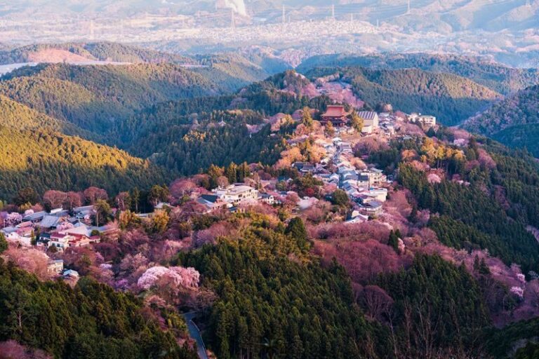 Nara Half-Day Small Group Tour - Nara time: guided context and a short window to explore