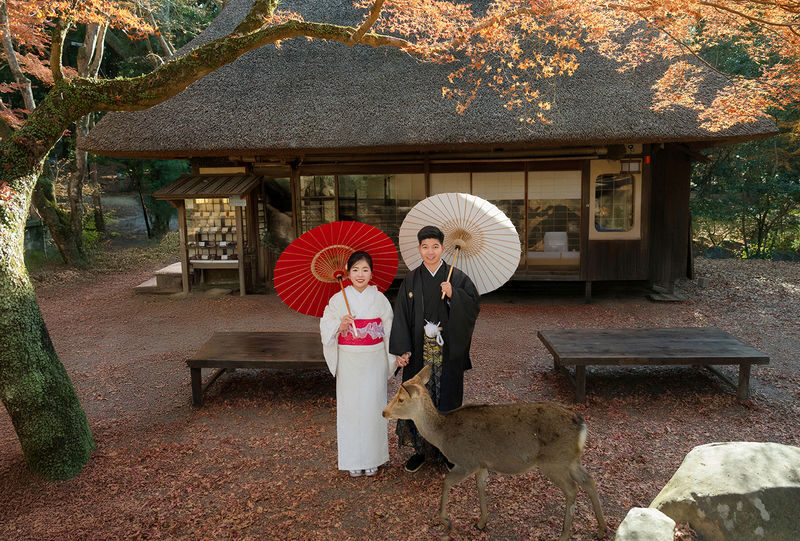 Nara Kimono Rental & Photo Shoot Experience | Kimono Rental Misaki - Choosing a kimono, accessories, and hair styling