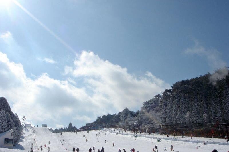 Nara Park & Mt. Rokko Snow Park Day Trip (From Osaka) - Nara Park in two hours