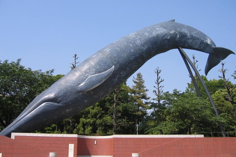 National Museum of Nature and Science Ticket in Tokyo - Start with the Earth Gallery’s big questions