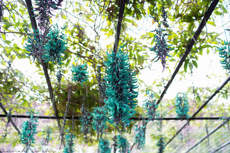 Neo Park Okinawa Ticket - A walk through birds, ponds and animal habitats
