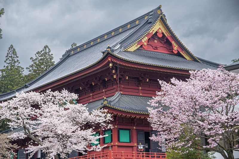 Nikko Private Day Trip (Tokyo Departure) - Toshogu Shrine and Nikko’s heritage