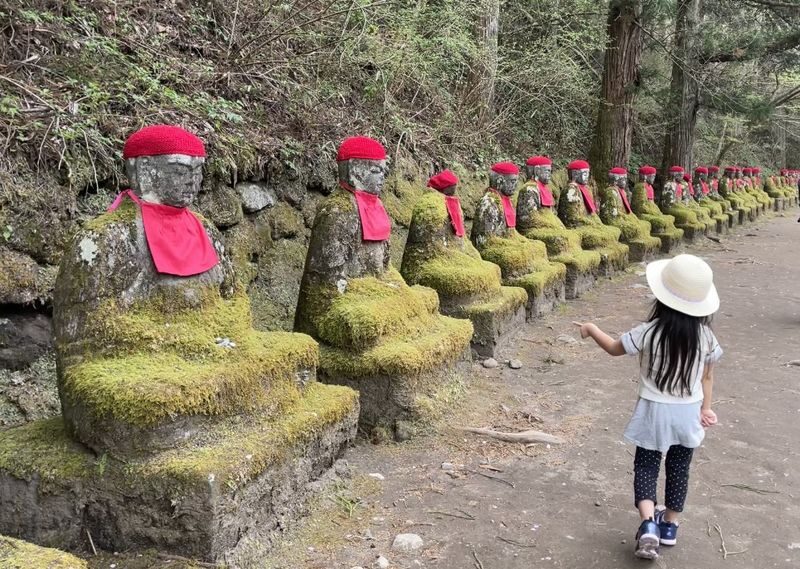 Nikko World Heritage Walking Tour with Toshogu Shrine & Lunch - Lunch is a real planning decision