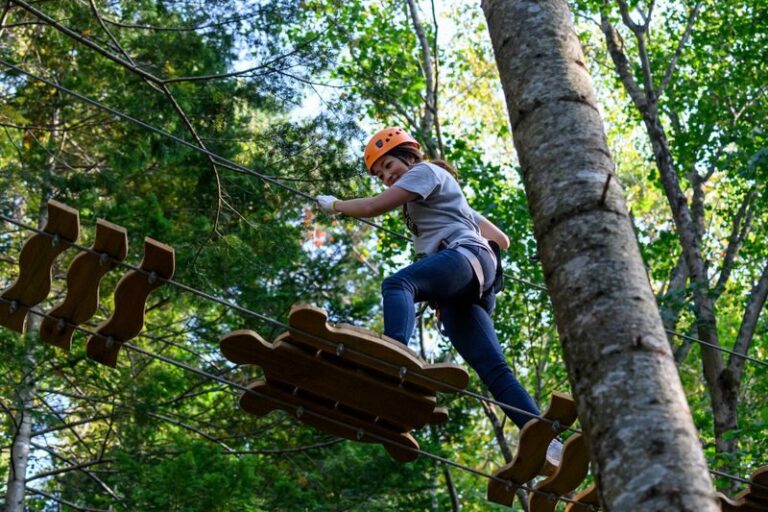 Niseko Hanazono Resort Ezo Fuji Mt. Yotei Tree Trekking - Three hours, with seven routes to work through