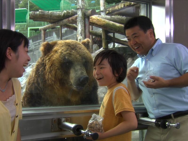 Noboribetsu Bear Park Ticket - Meeting the Ezo brown bears