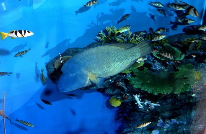 Noboribetsu Marine Park NIXE Admission Ticket - Make time for the Milky Way Pool
