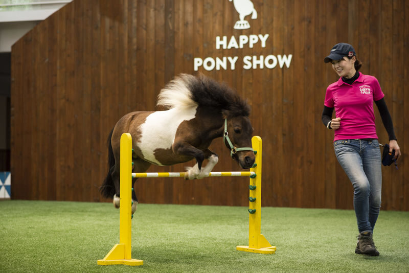 Northern Horse Park Ticket in Tomakomai, Hokkaido - Start at the horses, then take your time
