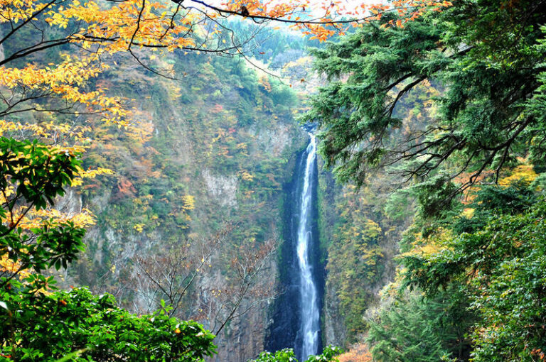 Oita Autumn Foliage Day Trip | Kokonoe "Yume" Otsushashi Bridge / Kyusuikei / Keiseien / Hitome Hakkei (Departing from Fukuoka) - Walking high over the Kokonoe gorge
