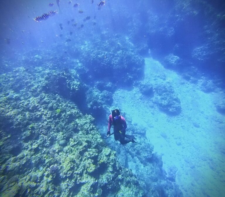 Okinawa Blue Cave Fun Free Diving (Boat entry/Free photography) - Korean support and a multilingual crew