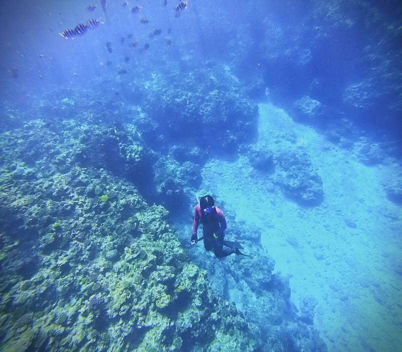 Okinawa Blue Cave Fun Free Diving (Boat entry/Free photography) - Korean support and a multilingual crew