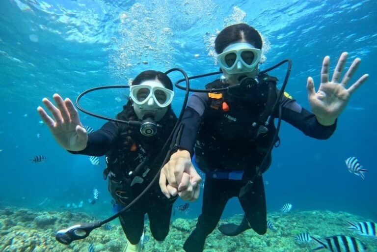 Okinawa: Blue Cave Snorkeling and Diving (Supports Chinese/English/Japanese/Korean) - Snorkeling or beginner scuba?
