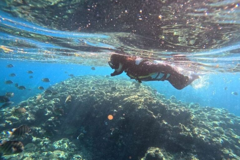Okinawa: Blue Cave Snorkeling & Diving Experience - Boat entry trades the shore practice for a short ride