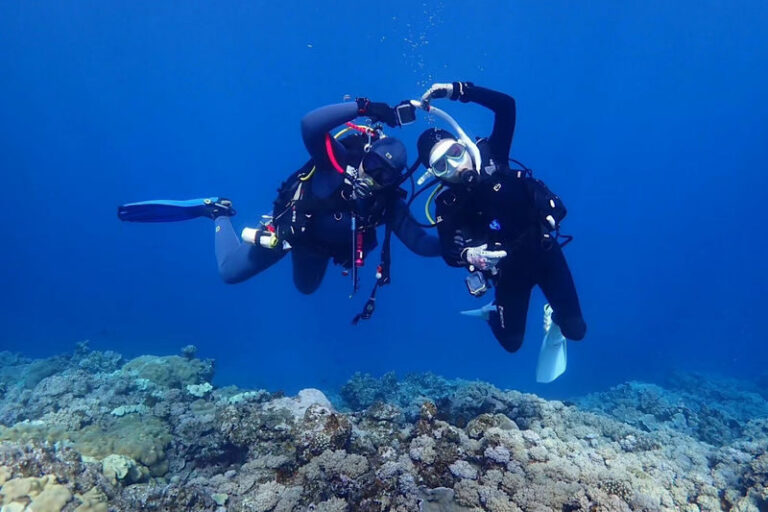 Okinawa: Blue Cave Snorkeling Experience - What the Blue Cave offers