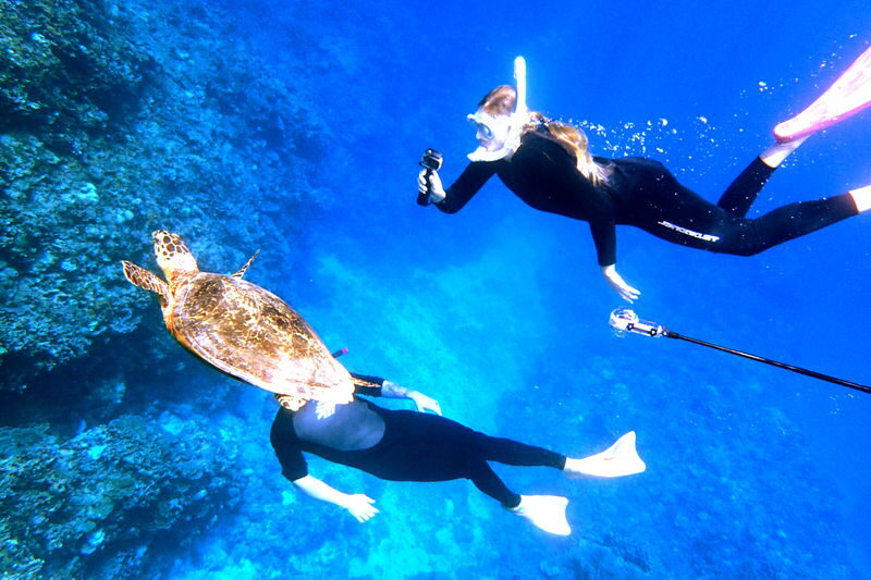 Okinawa: Full-Day Kerama Islands National Park Snorkeling Tour - Three stops, three chances to find the best water