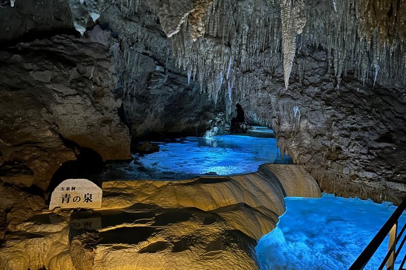 Okinawa FunPASS (Churaumi Series) - Choose a plan that fits your days