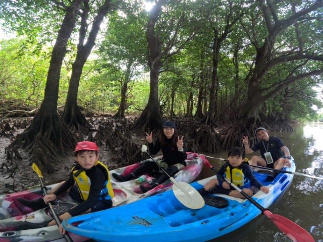 Okinawa Ishigaki Island Mangrove Forest Half-day Tour (SUP/Canoe) - SUP or Canoe: Choose Your Comfort Level
