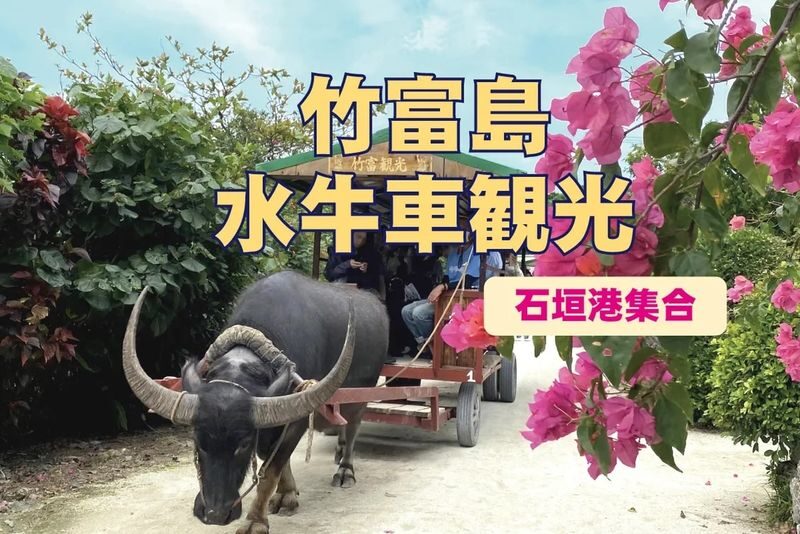 Okinawa Ishigaki Island Taketomi Island Water Buffalo Cart Sightseeing & Round-Trip Ferry Ticket - The cart ride moves at buffalo pace