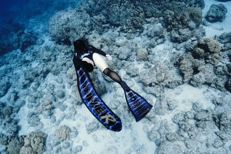 Okinawa Kerama Islands Snorkeling & Freediving with Naha Pickup - A small group and bilingual guidance