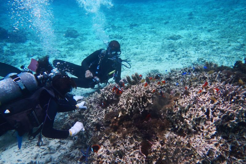 Okinawa Onna Blue Cave Snorkeling or Beginner Scuba Diving - A short boat ride, a briefing, then time in the water
