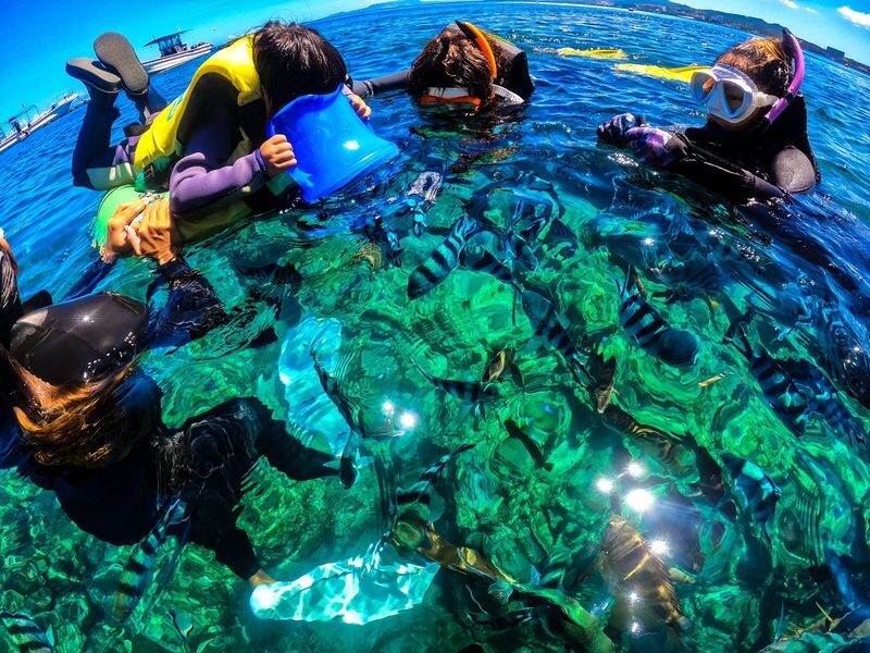 Okinawa: Onna Village Blue Cave Private Snorkel (Free Photo Shoot) - A gentler start for first-time snorkellers