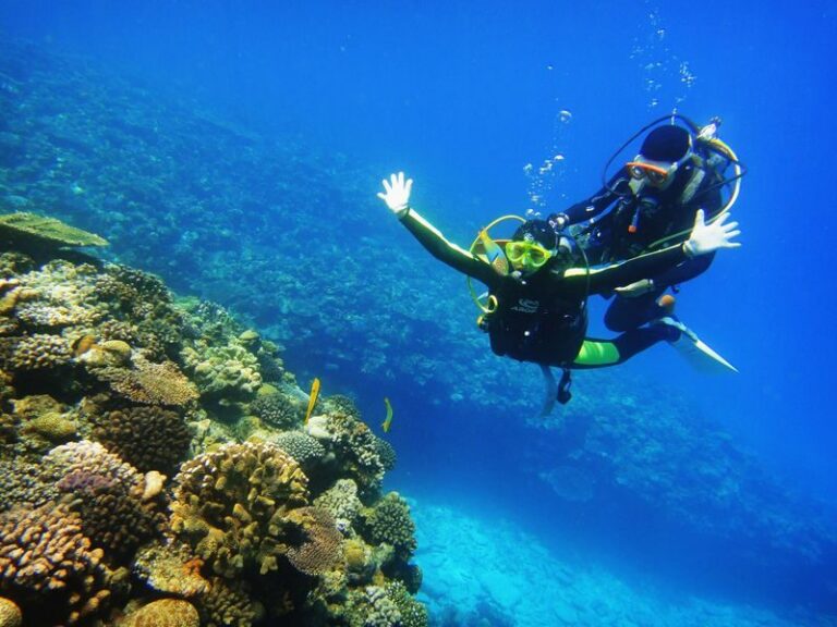 Okinawa Onna Village Blue Cave Snorkeling & Scuba Diving Experience - What the Day Looks Like, From Pickup to the Port