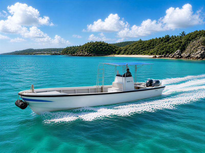 Okinawa: Onna Village Underwater Sea Walk Experience (with free GoPro rental) - From Seven Oceans Club to the boat