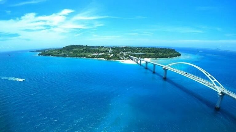 Okinawa Sesoko Island Snorkeling/Parasailing/Water Activities - A 30-minute snorkel with a simple plan