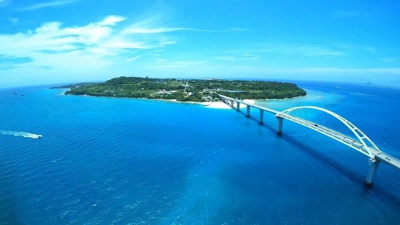 Okinawa Sesoko Island Snorkeling/Parasailing/Water Activities - A 30-minute snorkel with a simple plan