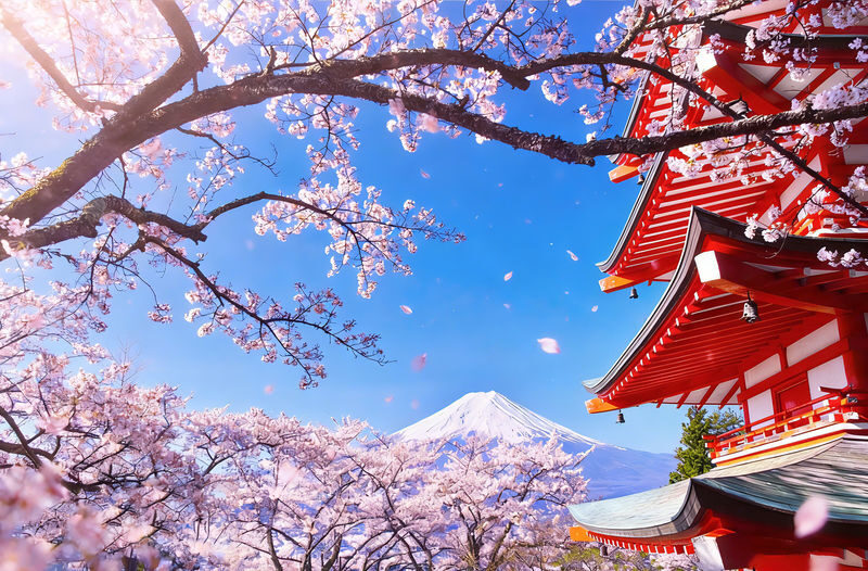 One-day tour of 7 popular Instagram spots on Mount Fuji: Lake Yamanaka, Hikawa Clock Shop, Arakurayama Sengen Park, Lawson convenience store, Oshino Hakkai, Lake Kawaguchi, and Jinba Stables. - Oshino Hakkai: spring water and snack stalls