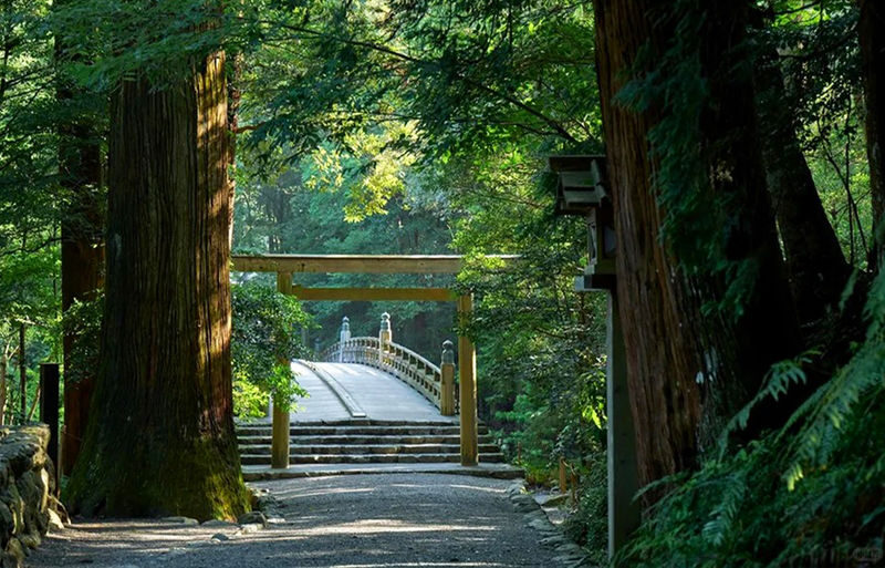 One-day tour of Nagoya Ise Grand Shrine and Mikimoto Pearl Island - Okage Yokocho: make lunch part of the plan