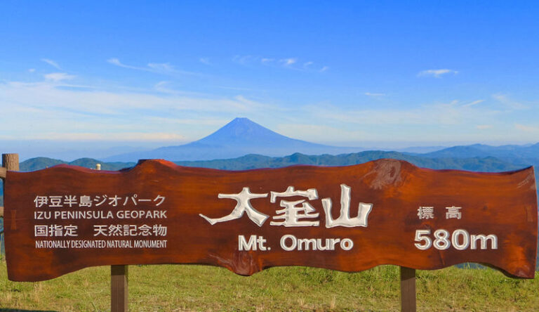 One-day tour to Mount Omuro in Tokyo and the Atami Fireworks Festival - Mount Omuro: a lift ride and weather-dependent views