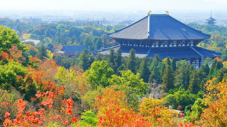 One-Day Uji Nara Onsen Tour: Nara Park with Deer Crackers + Todai-ji Temple + Uji Byodo-in Temple + Genji no Yu Onsen (Round Trip from Osaka) - Nara Park: deer, temples and a choice to make