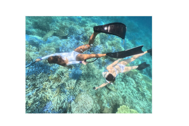 Onna Village, Nakayukui: Swim with Sea Turtles at High Probability! Beach Entry Snorkeling Experience - What the two-and-a-half-hour visit includes