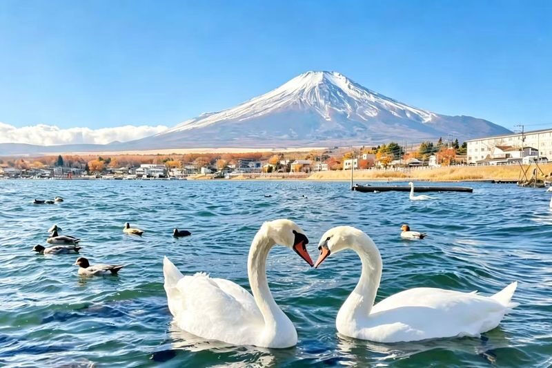 Optional Lake Yamanaka Cruise Experience | Mount Fuji Shopping Private Car Charter or Exquisite Small Group Day Tour | Lake Yamanaka & Gotemba Premium Outlets (Departing from Tokyo) - The optional cruise: ask what is included