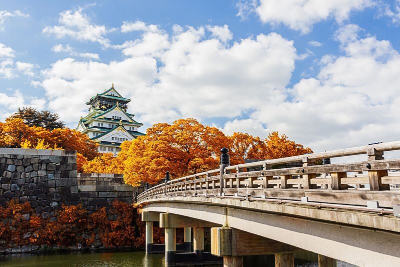 Osaka 6hr Private Tour with Government-Licensed Guide - Osaka Castle: a grand start, if history is your priority