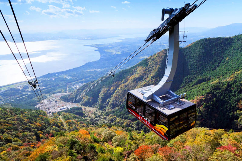 Osaka and Kyoto Biwako and La Collina Full-Day Guided Tour - Metasequoia Avenue and the appeal of the road