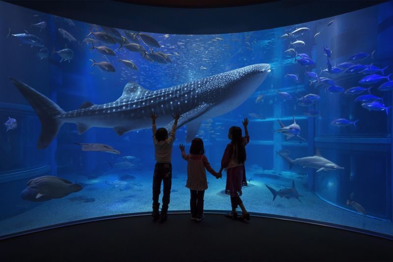 Osaka Aquarium Kaiyukan Ticket - Japan Forest, Antarctica, and the changing habitats
