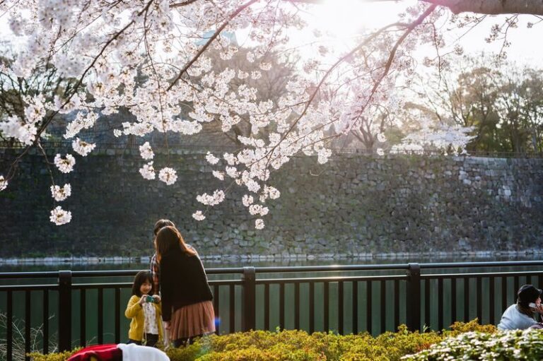 Osaka Castle 3 hours Historical Walking Tour - Starting at JR Osaka-jo-koen Station