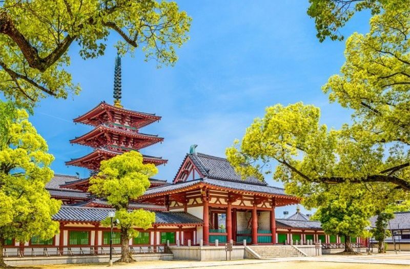 Osaka Katsuo-ji & Shitenno-ji Full-Day Private Tour - Lunch and the transfer back toward the city